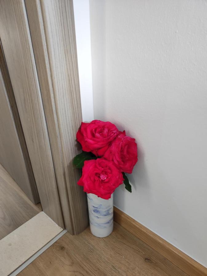 Apartman A&M ドゥブロブニク エクステリア 写真